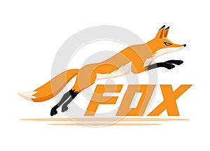 Animal fox running.